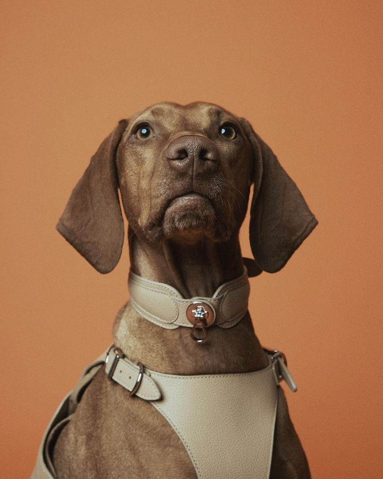 Customer testimonial